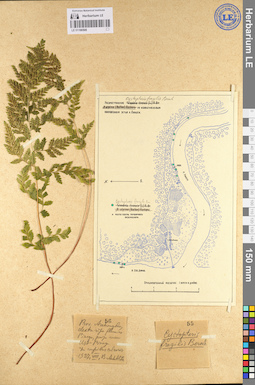 LE 01106508