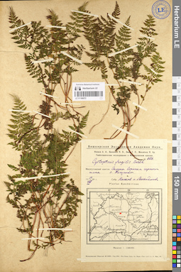 LE 01106572