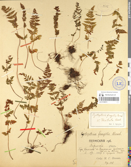 LE 01106573