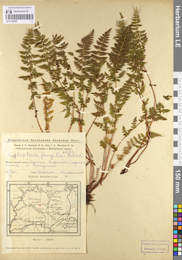 LE 01106645