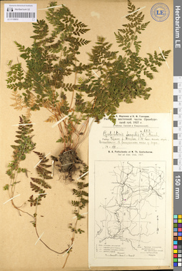 LE 01106650