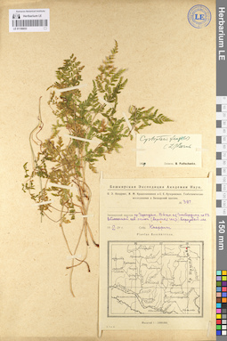 LE 01106653
