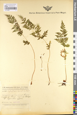 LE 01106657