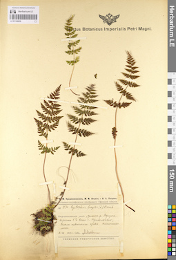 LE 01106659