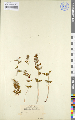 LE 01106673