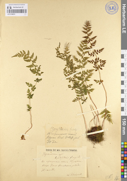 LE 01106674