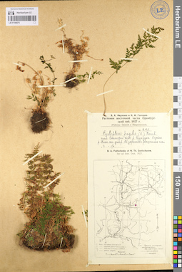 LE 01106675