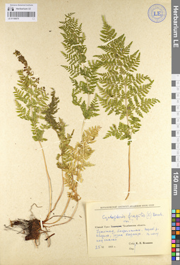 LE 01106679