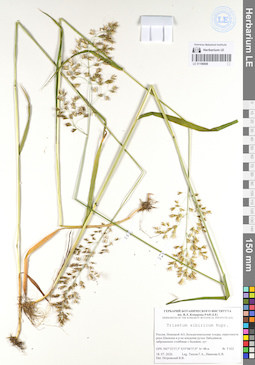 LE 01106808