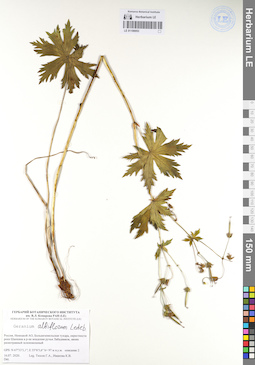 LE 01106953