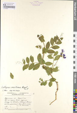 LE 01095043