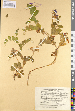 LE 01095044