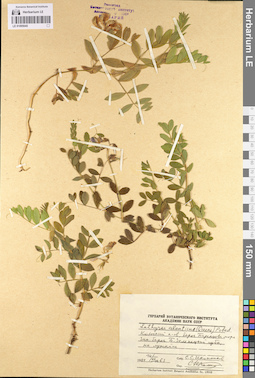 LE 01095045