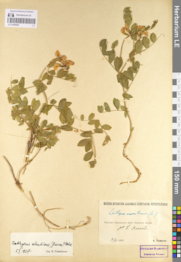 LE 01095098