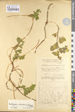 LE 01095107