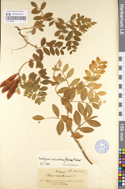 LE 01095108