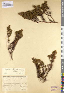 LE 01095156