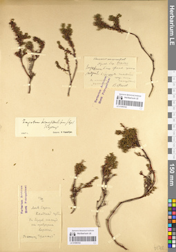 LE 01095162