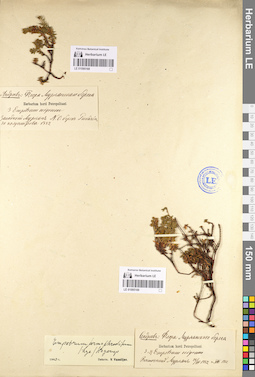 LE 01095169