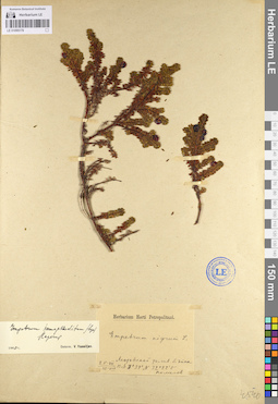 LE 01095178