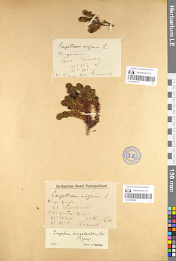 LE 01095180