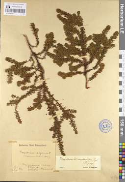 LE 01095182