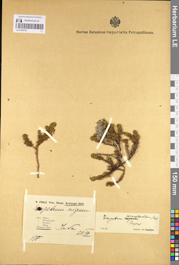 LE 01095187