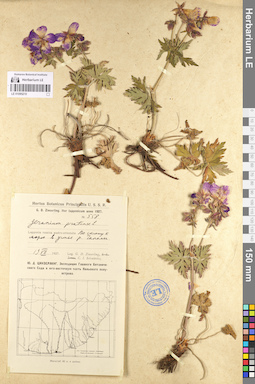 LE 01095210