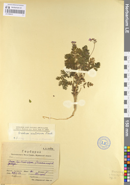 LE 01095313
