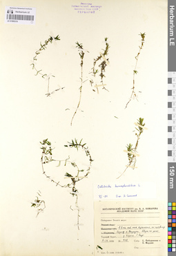 LE 01095319