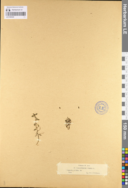 LE 01095320