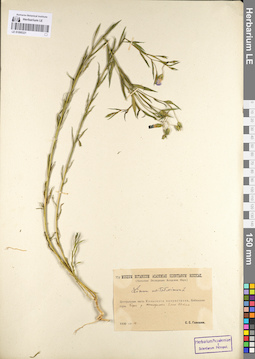 LE 01095321