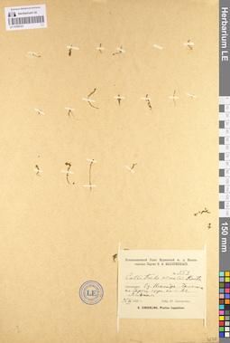 LE 01095331