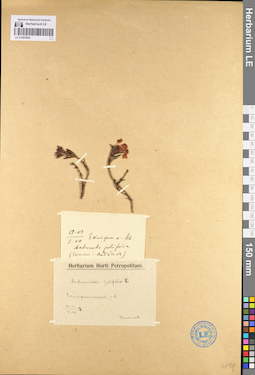 LE 01097602