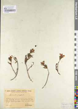 LE 01097604