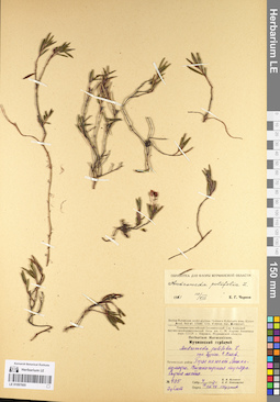 LE 01097605