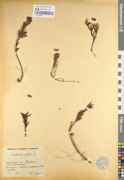 LE 01097608