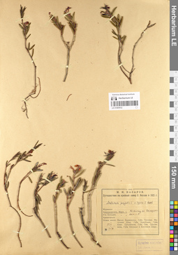 LE 01097612