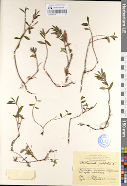 LE 01097618
