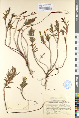 LE 01097622