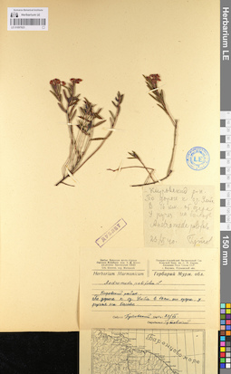 LE 01097623