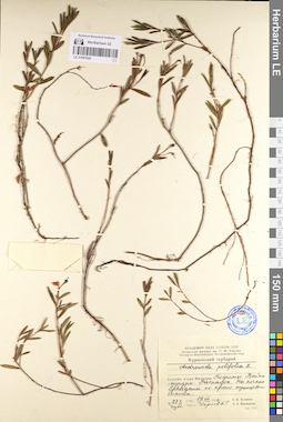 LE 01097626