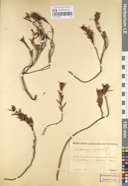 LE 01097627