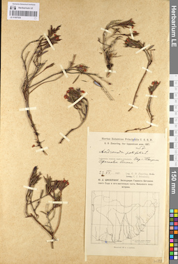 LE 01097639
