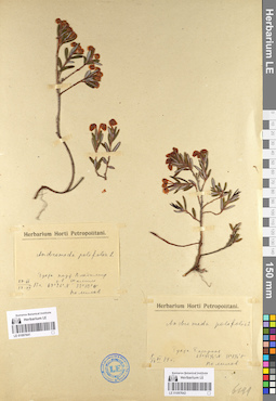 LE 01097641