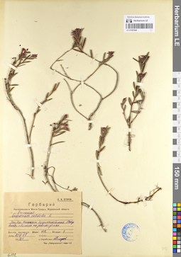 LE 01097648