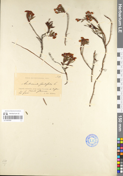LE 01097659