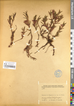 LE 01097674
