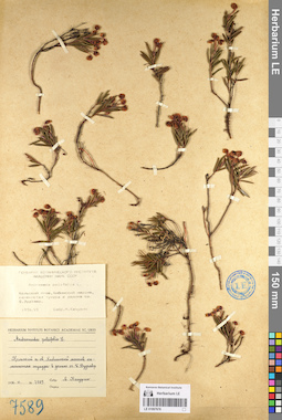LE 01097676