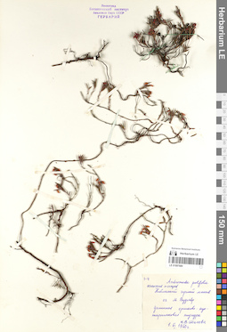 LE 01097680